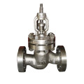 Valve de globe en acier duplex de chapeau de boulon